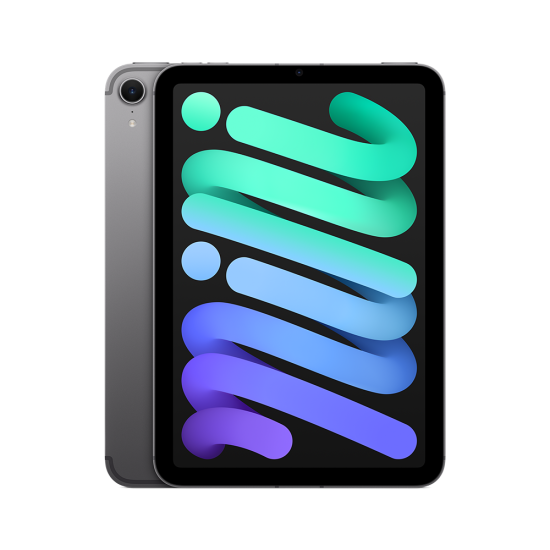 Apple iPad mini Wi-Fi + Cellular 256GB
